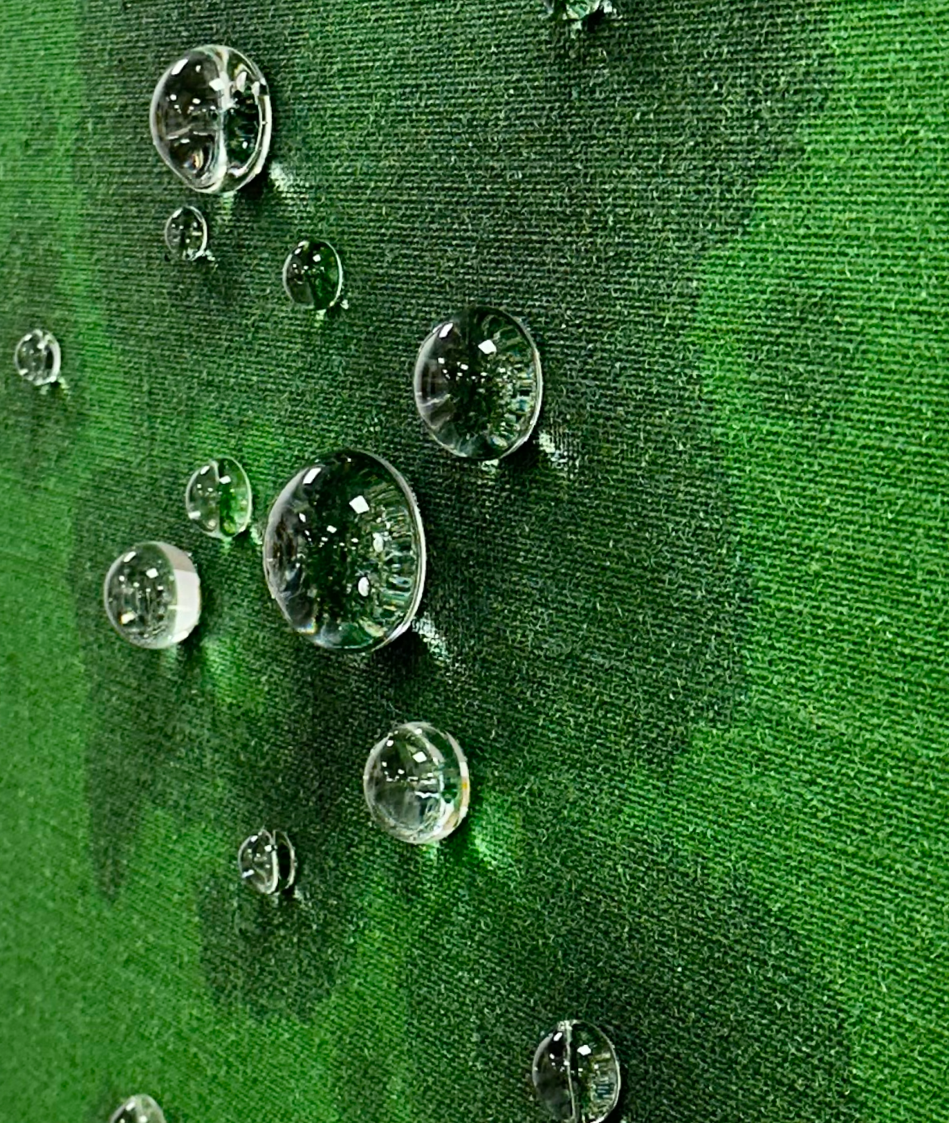 오리지널 - 유충목