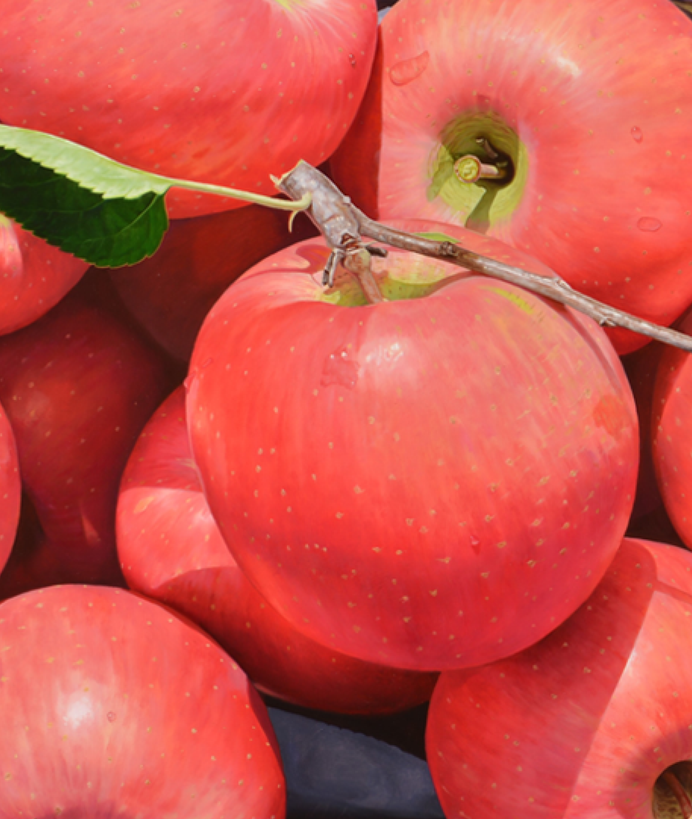 궤짝을 차고 나온 사과 윤병락
