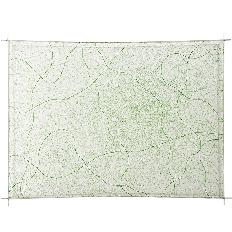 frame
