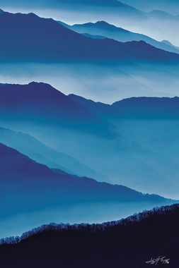 임채욱 Blue Mountain 2305