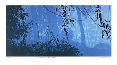 주태석 자연-image Ⅸ