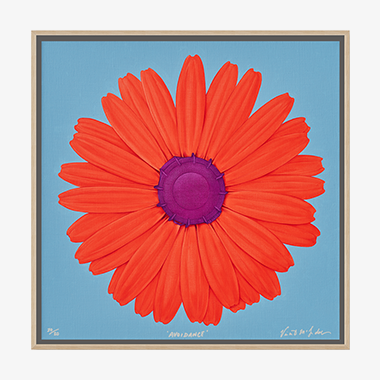 Avoidance (액자포함)