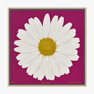 Avoidance (액자포함)