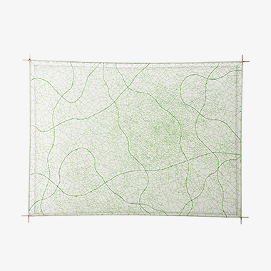 자라나다, 남기다_2 Growing,Tracing_2