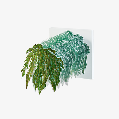 우림산수_02 Breath, Rainforest_02