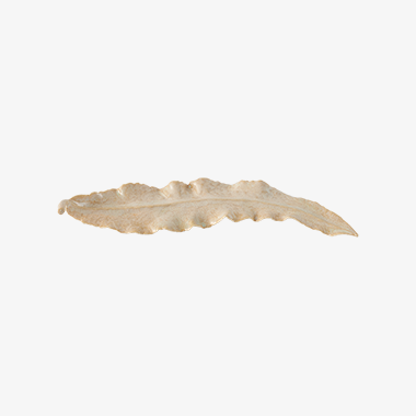 Ceramic Leaves 1