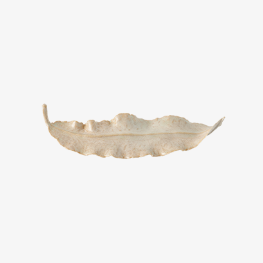 Ceramic Leaves 2