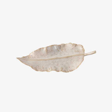 낙엽3