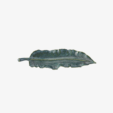낙엽4