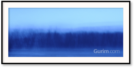 로터스 - 바람의 치유