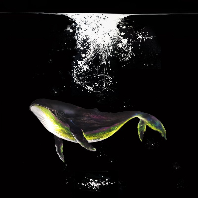 biNoo - BinooWhale II