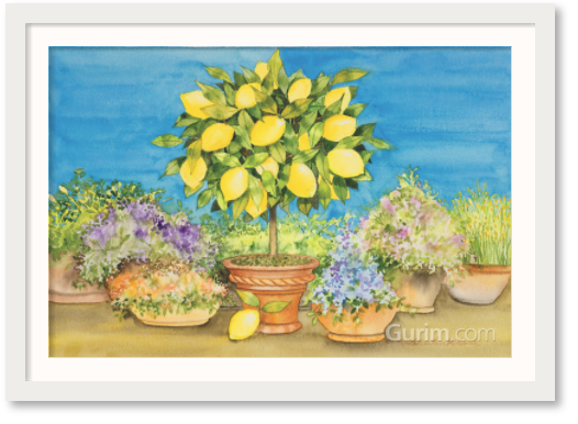 캐스린 파 멕케나 - Lemon Tree