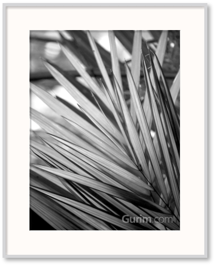 킴벌리 앨런 - Metal BW Plant II