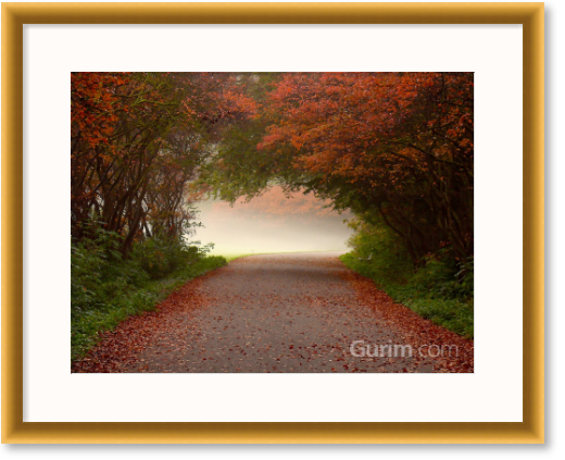 라스 바른 드 구르 - Arc de Triomphe