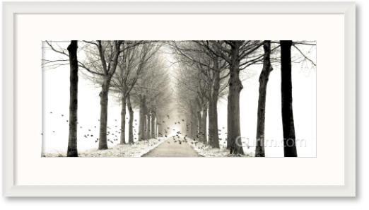 라스 바른 드 구르 - Birds