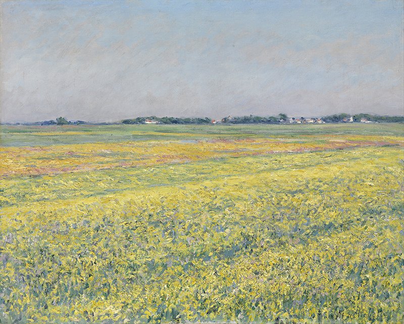 구스타브 카유보트 - The Plain of Gennevilliers, Yellow Fields