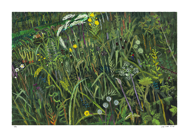 김종학 - Wild Grass