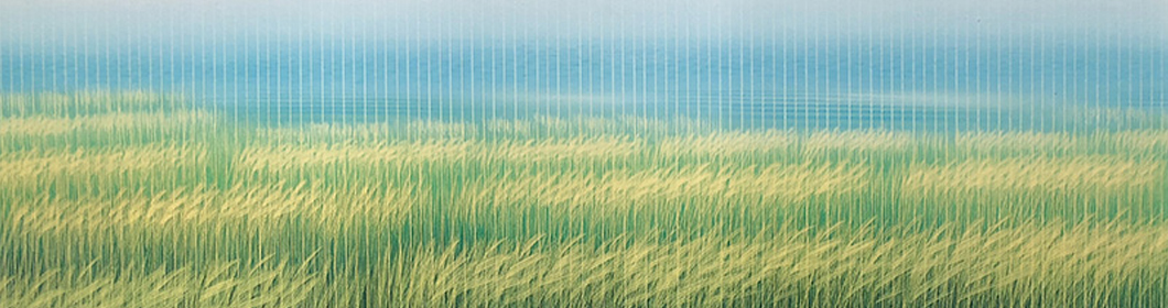 Artist - Ahn Byeong Seok(안병석)