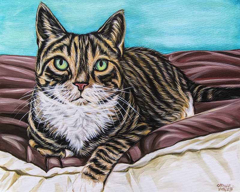 Kaleidoscope Comfy Cat