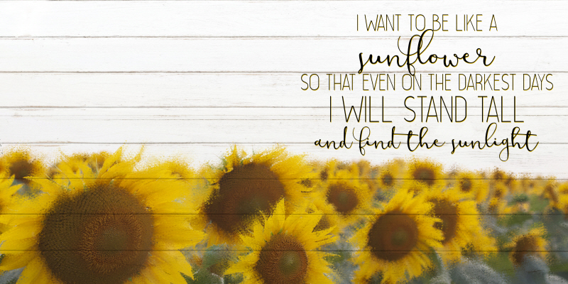 킴벌리 앨런 - Stand Tall