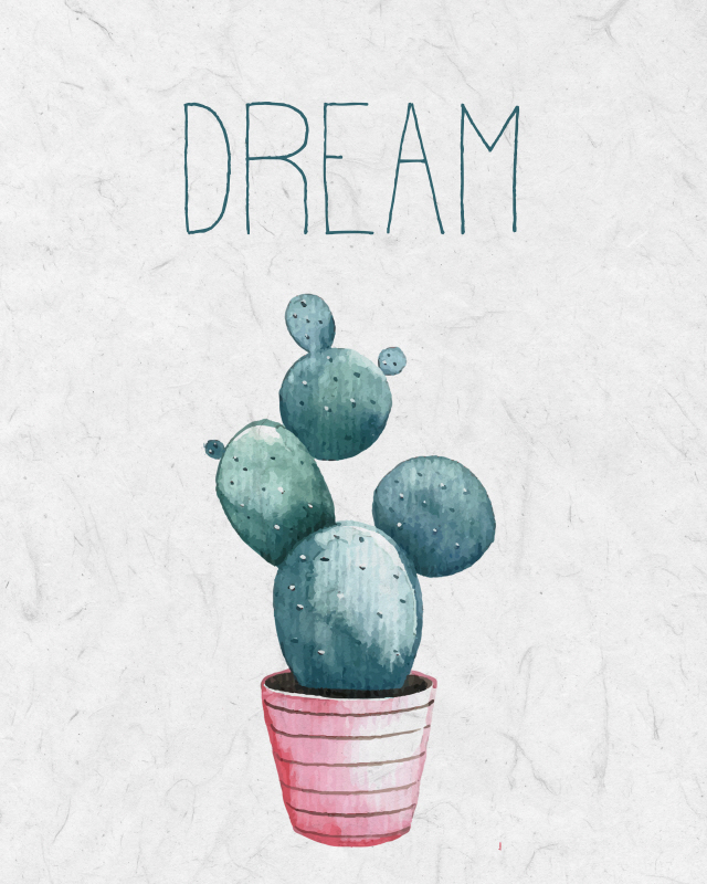 킴벌리 앨런 - Cactus Pink I