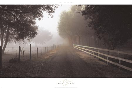 피티 터크 - The Journey