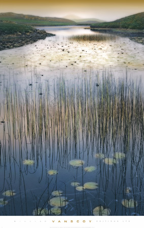 윌리암 반스코이 - You Forgot to Leave Me