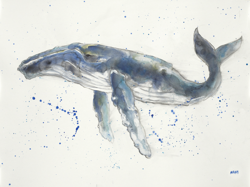 패티 맨 - Humpback Whale