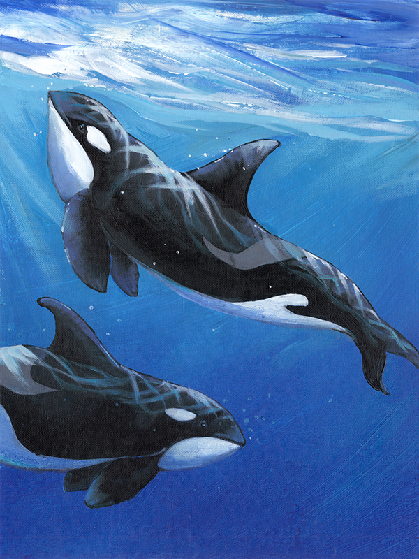 팀 오툴 - Under Sea Whales II