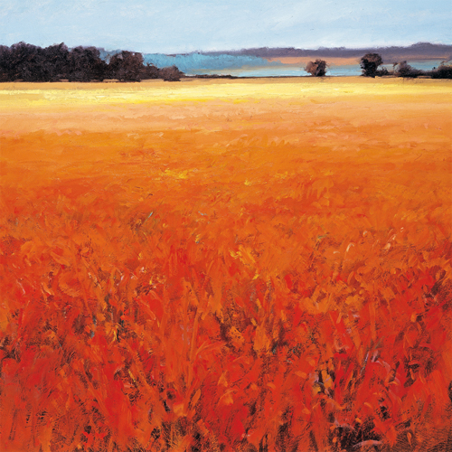 로버트 제이 포드 - Rural Aspect I