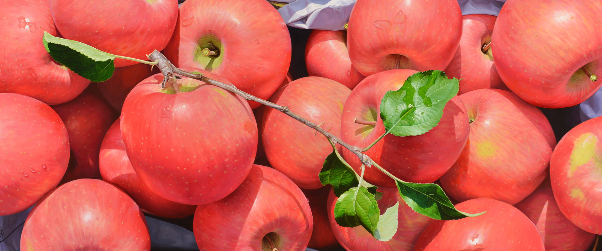 궤짝을 차고 나온 사과_ 윤병락