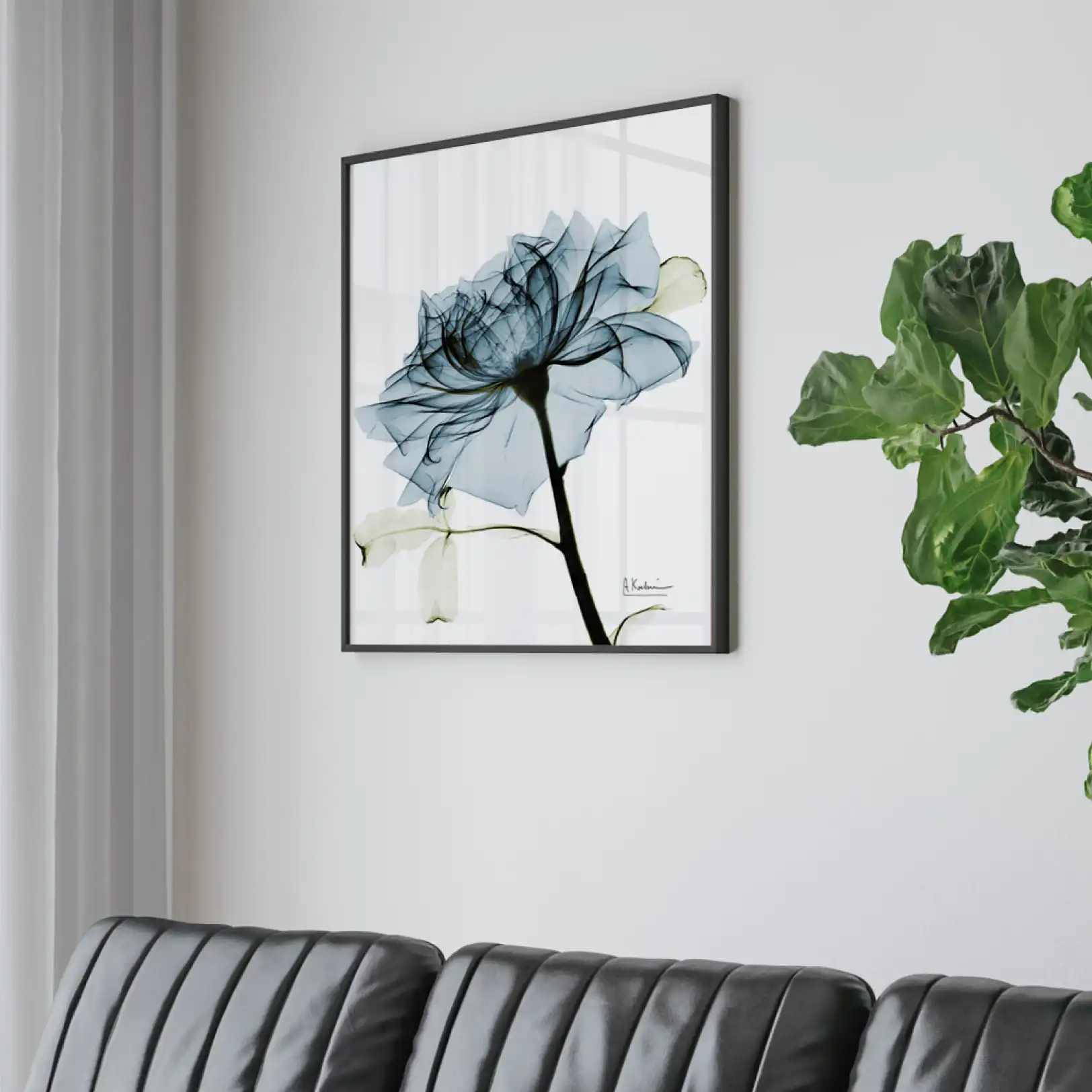 신비로운 X-ray ART