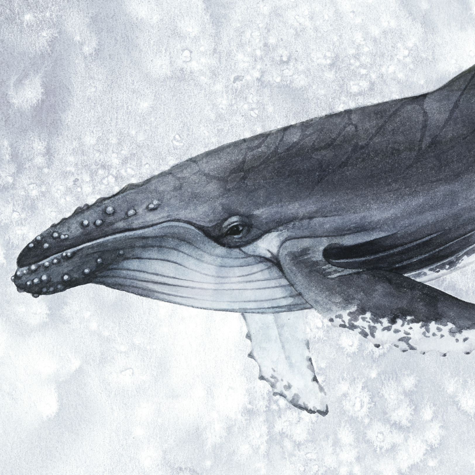 그림닷컴 기획전