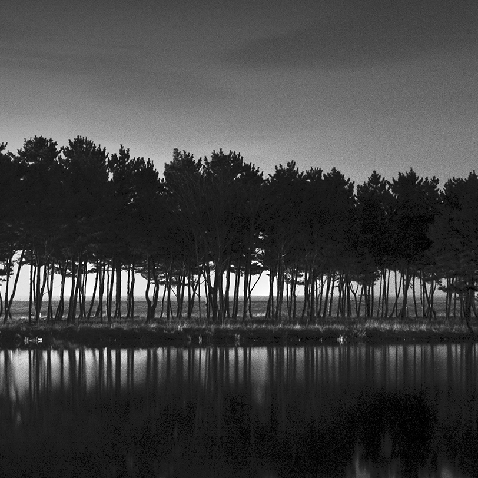 그림닷컴 기획전