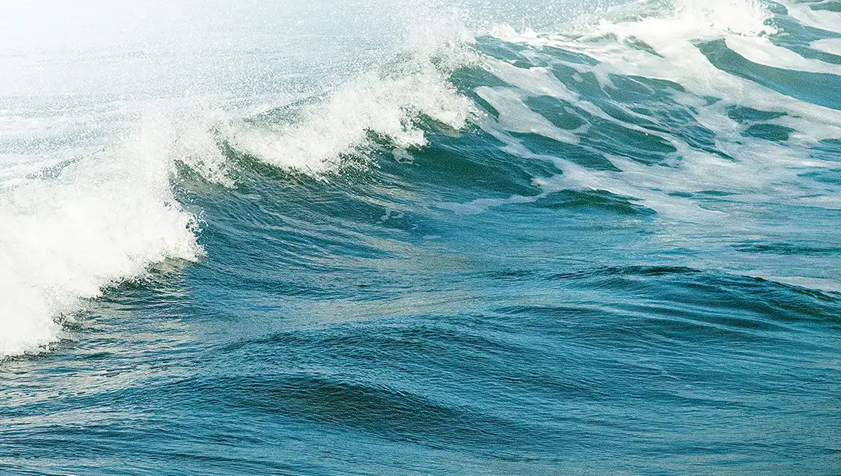 Artist - Ian Winstanley(이안 윈스탠리)