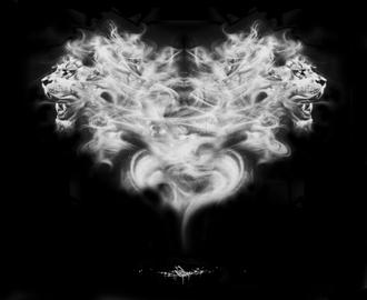 Lionheart BW