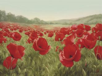 Field Of Poppies