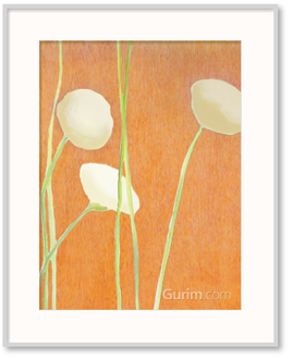 Cream Flowers on Orange