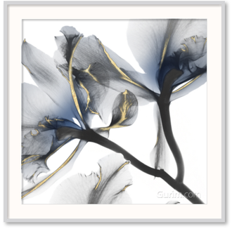 Indigo Luster Cyclamen II