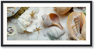 Island Tide Pool No. 3